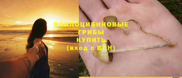 дурь Александровское