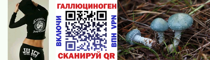 Псилоцибиновые грибы GOLDEN TEACHER  Юхнов 